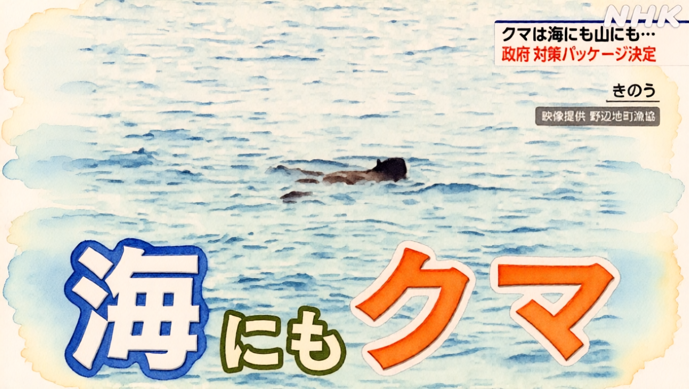 Shocking: Bear Spotted Swimming in Aomori's Mutsu Bay