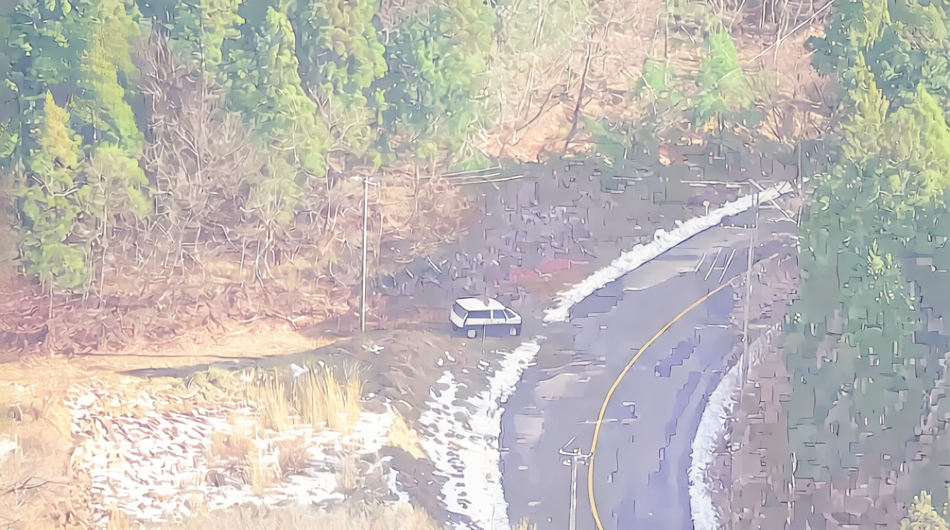 Elderly Man Found Dead in Forest: Suspected Bear Attack